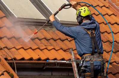 Démoussage et hydrofuge de toiture à Levet